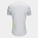 Camisa de Goleiro Palmeiras III 25/26 s/n Torcedor Puma Masculina - Cinza